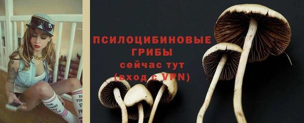 каннабис Верея