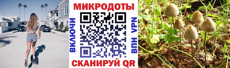 Псилоцибиновые грибы Psilocybine cubensis  mega зеркало  Владимир 